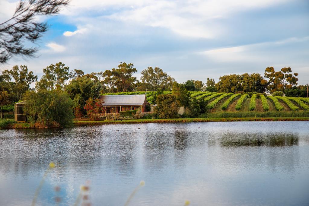 Stonewell Cottages And Vineyards Tanunda Esterno foto