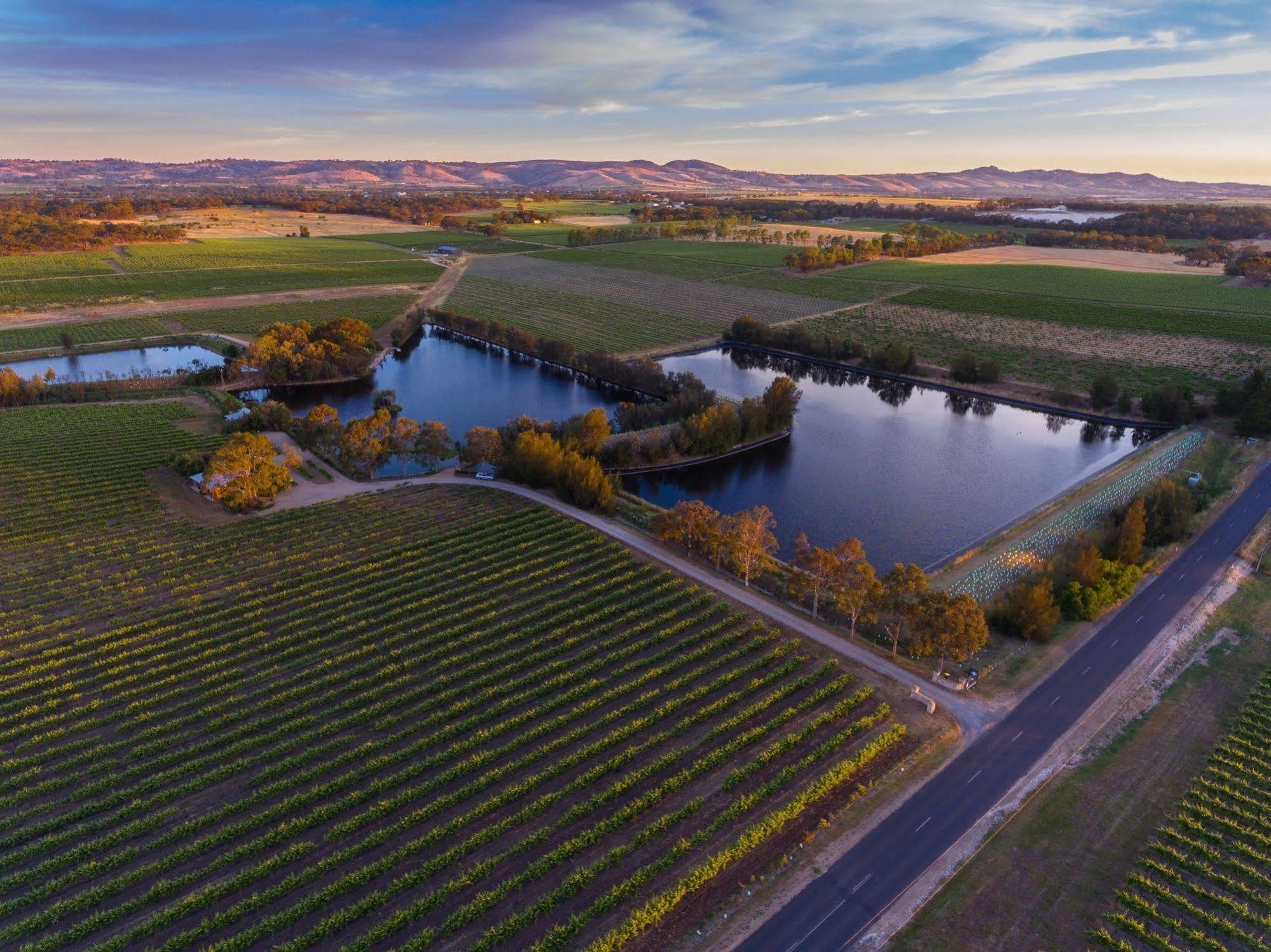 Stonewell Cottages And Vineyards Tanunda Esterno foto