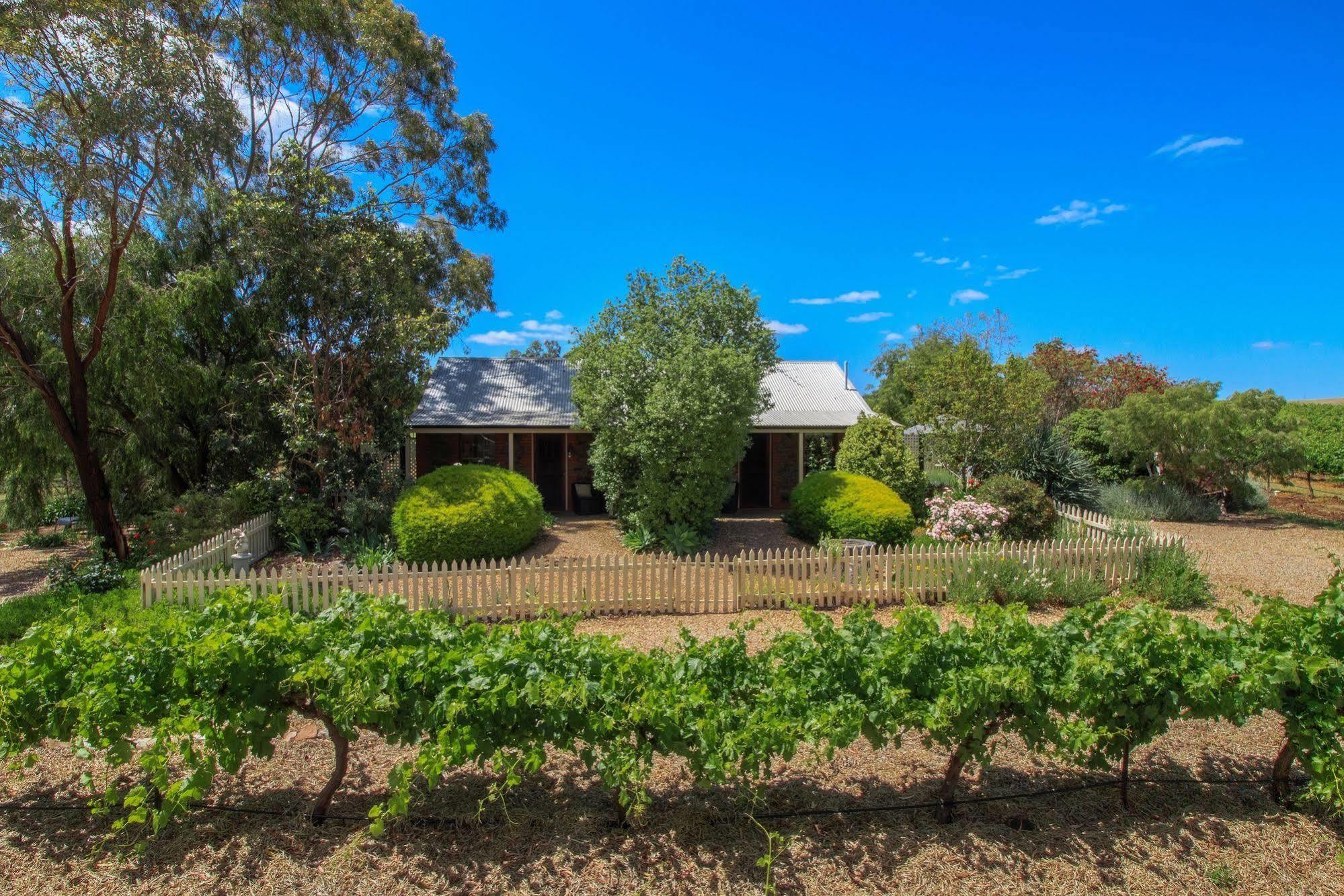 Stonewell Cottages And Vineyards Tanunda Esterno foto