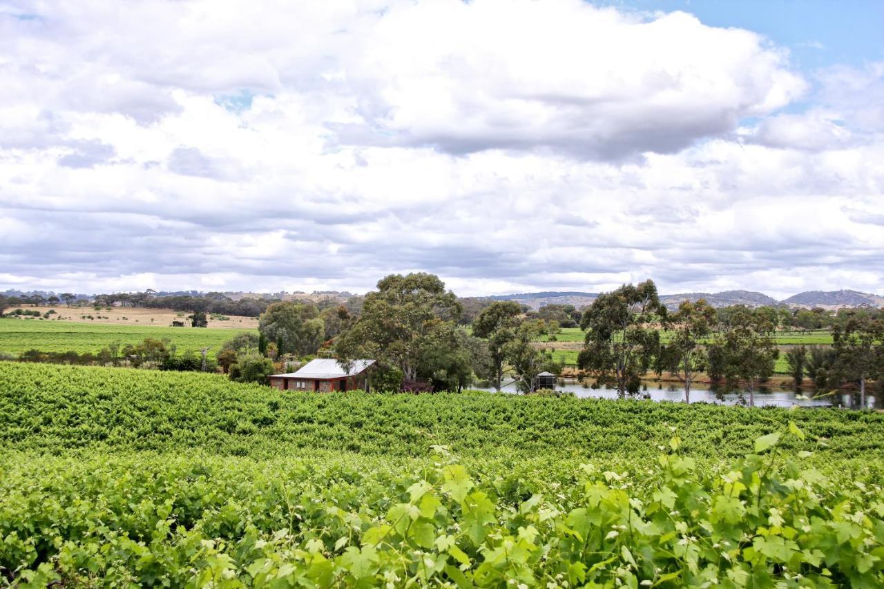 Stonewell Cottages And Vineyards Tanunda Esterno foto